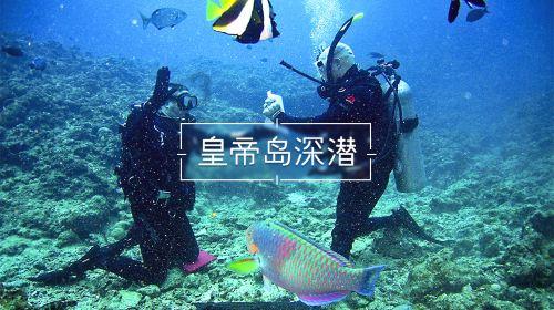 探秘怎样学好初中英语解决你的疑惑